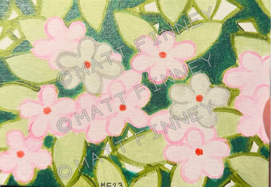Pink Blossoms