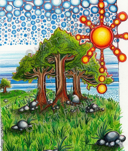 Coastal Grove