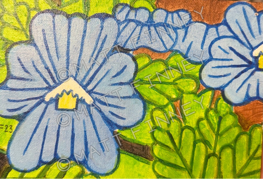 Blue Flowers